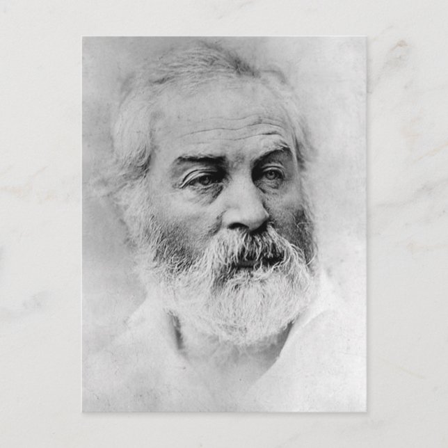 Walt Whitman Civil War Years Age 44 Postcard (Front)
