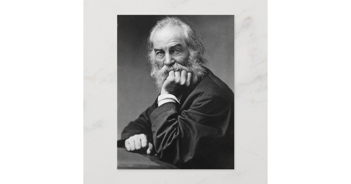 Walt Whitman Face Always Toward the Sunshine Postcard Zazzle