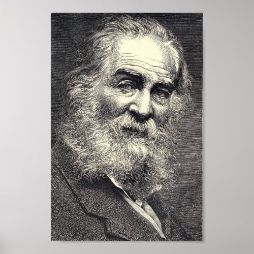 Walt Whitman Leaves of Grass Engraving Age 52 Poster