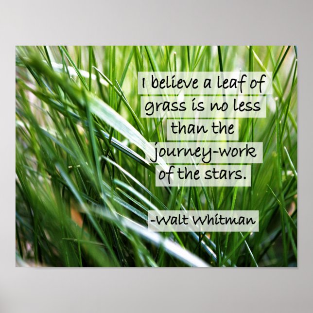 Walt Whitman Quote- Poster (Front)