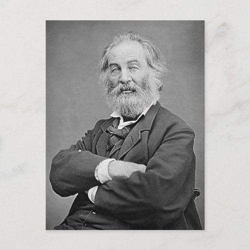 Walt Whitman Seated Portrait Photograph Age 47 Postcard