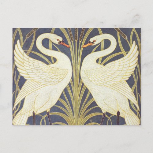 Walter Crane Swan Rush And Iris Art Nouveau Postcard
