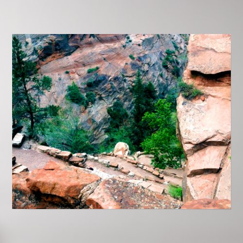 Walters Wiggles Zion National Park Utah Poster