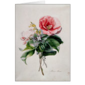 wamellia and Broom (Front)