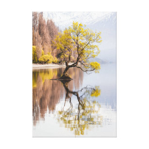 Wanaka Tree Autumn Nature Landscape Photography Canvas Print