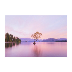 Wanaka Tree New Zealand Landscape Photography Canvas Print