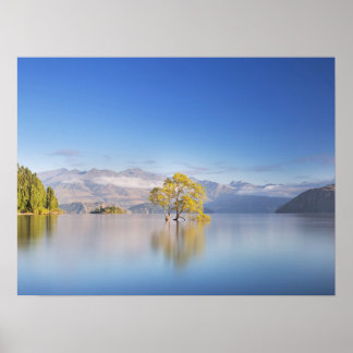 Wanaka Tree New Zealand Landscape Photography Poster