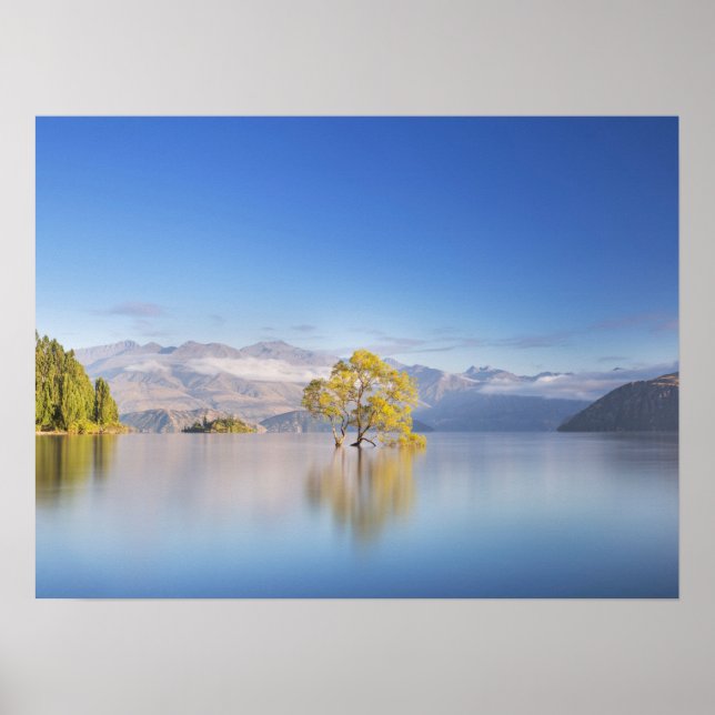 Wanaka Tree New Zealand Landscape Photography Poster (Front)