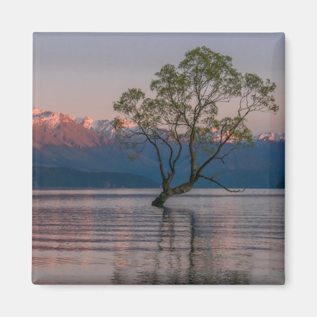 Wanaka Tree, New Zealand Magnet (Front)
