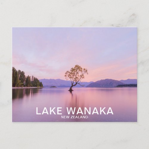 Wanaka Tree Sunrise Nature Travel Postcard