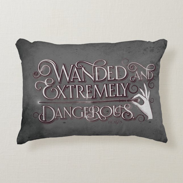 Wanded And Extremely Dangerous Graphic - White Accent Pillow (Front)