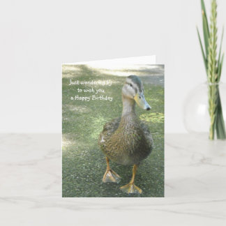 Wandering Duck Birthday Greetings Card