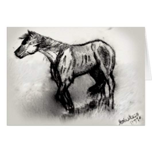 Wandering Horse Cards (Front Horizontal)
