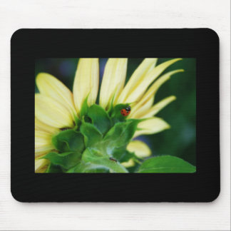 Wandering Ladybug Mousepad