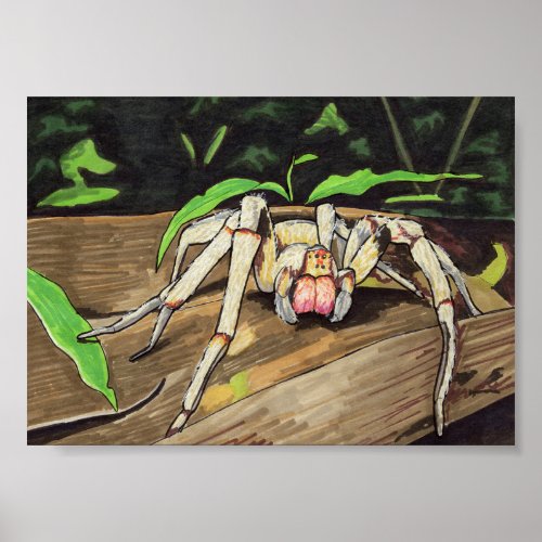 Wandering Spider 5x7 Poster
