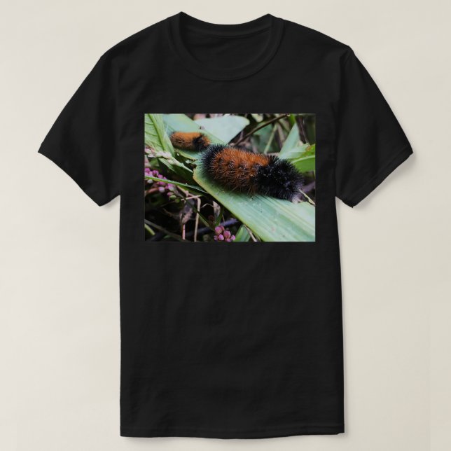 Wandering Woolly Bears T-Shirt (Design Front)