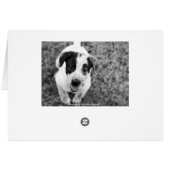 Wanna come over? (Back Horizontal)