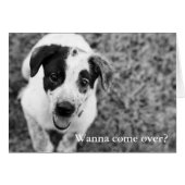 Wanna come over? (Front Horizontal)