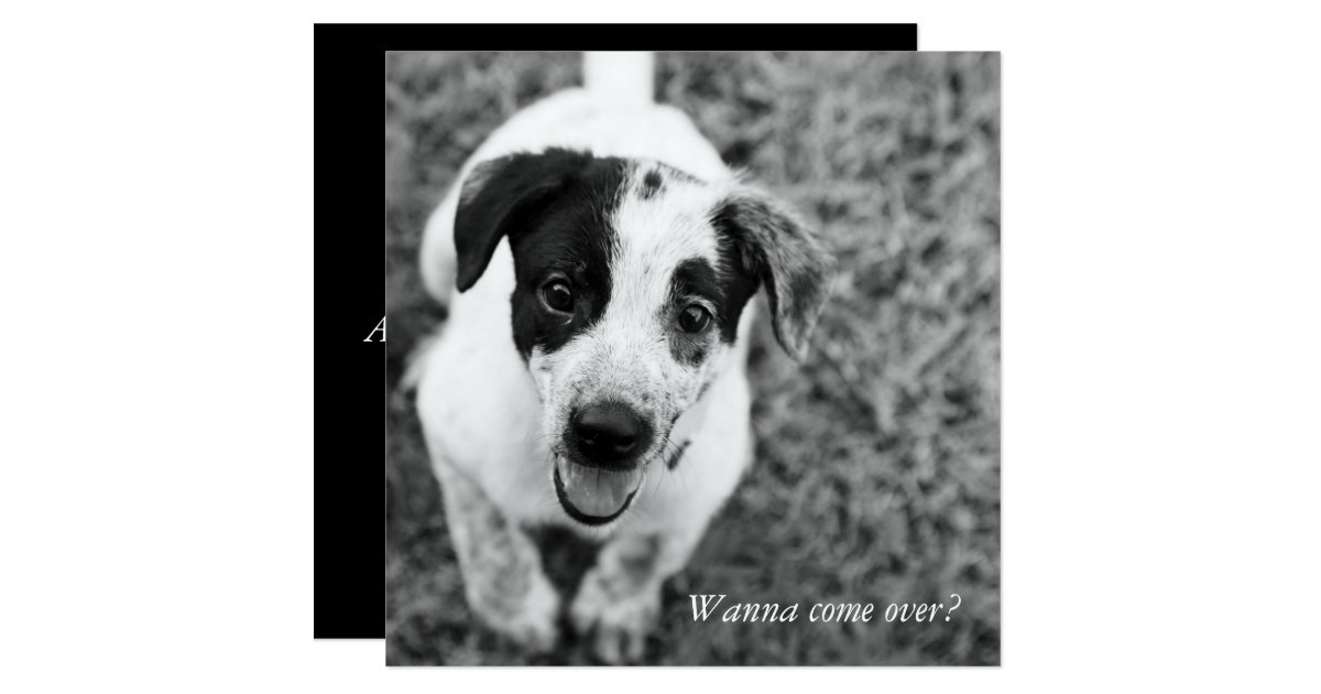 Wanna come over? card | Zazzle