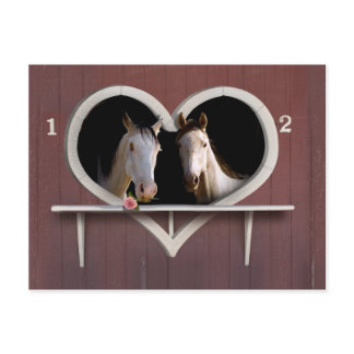 Wanna Horse Around? Postcard