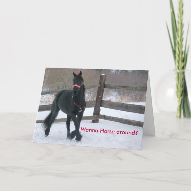 Wanna Horse... Holiday Card (Front)
