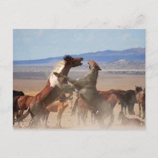 Wanna Piece Of Me? Postcard