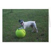 Wanna Play? (Front Horizontal)