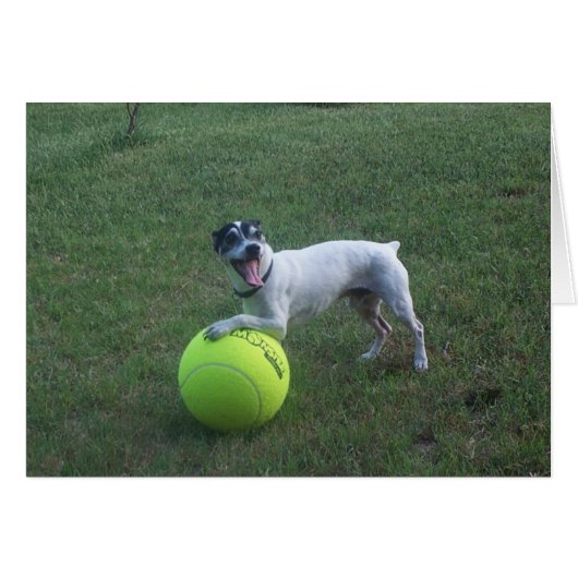 Wanna Play? (Front Horizontal)