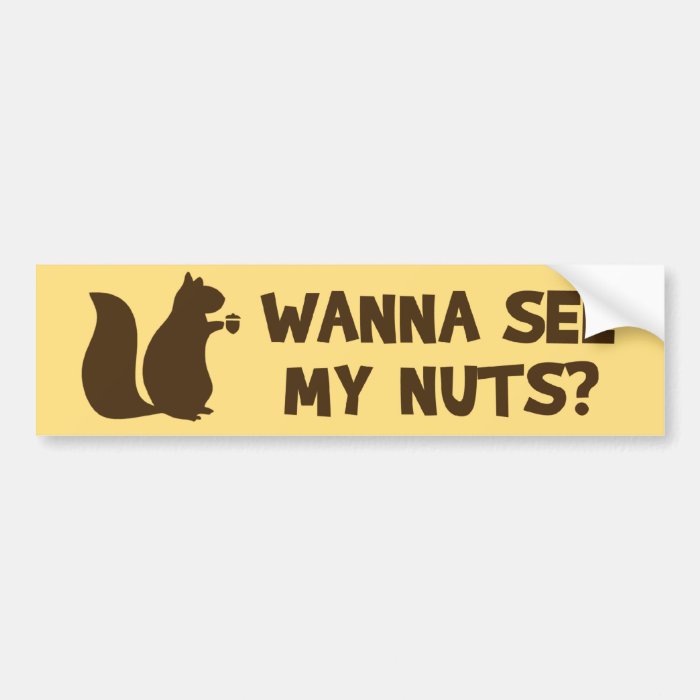 Wanna See My Nuts?   Funny Squirrel Lovers Humor Bumper Sticker