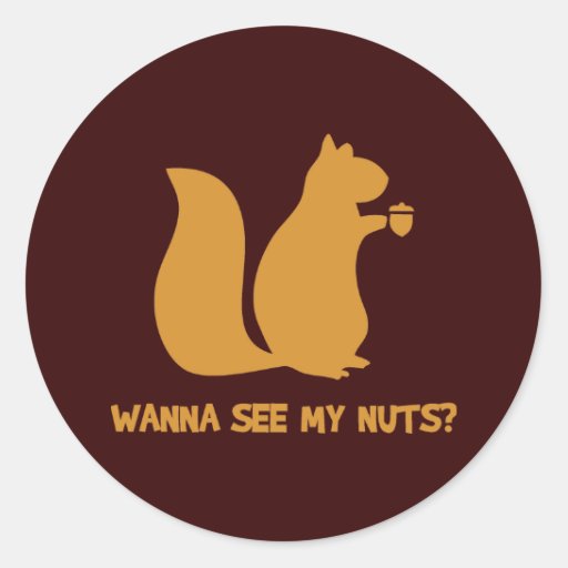 Wanna See My Nuts? - Funny Squirrel Lovers Humor Classic Round Sticker ...