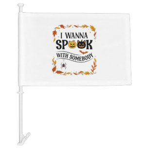 Wanna Spook Somebody Halloween Pumpkins Spider Bat Car Flag