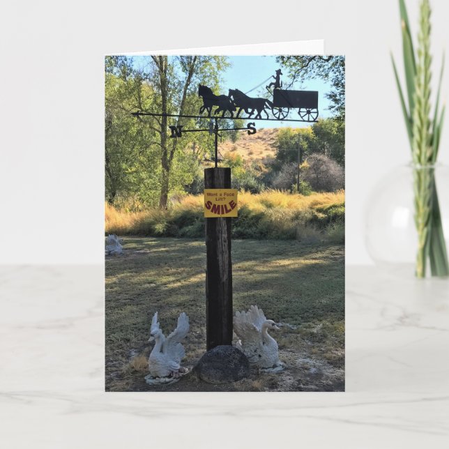 Want a Facelift, Smile, Funny Sign Card (Front)