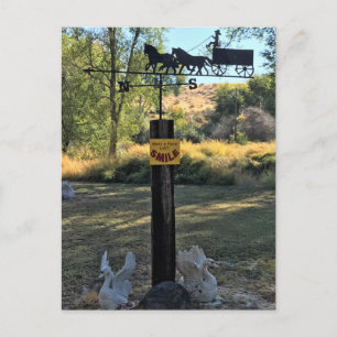 Want a Facelift, Smile, Funny Sign Postcard
