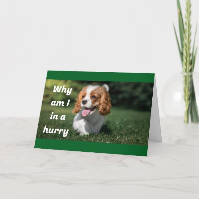 WANT TO BE 1st TO SAY "MERRY CHRISTMAS" Holiday Card (Front)