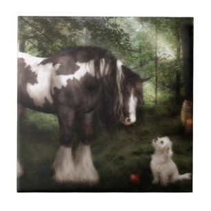 Want To Play Ceramic Tile