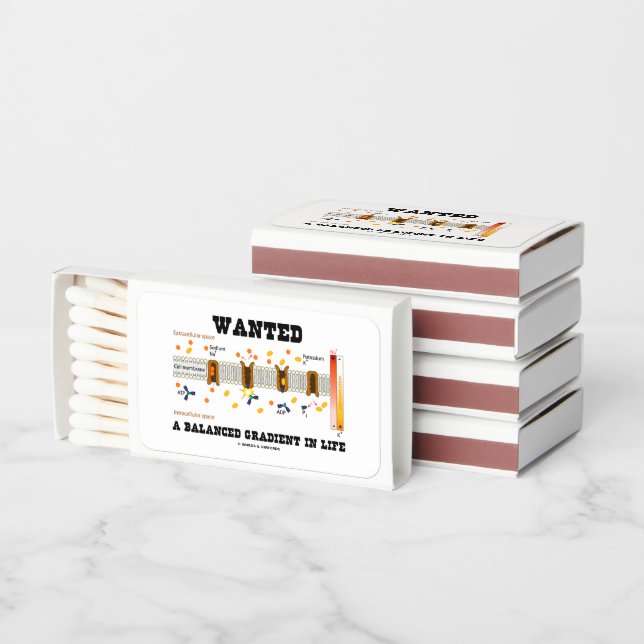 Wanted A Balanced Gradient In Life (Na-K Pump) Matchboxes (Stacked)