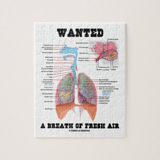Wanted A Breath Of Fresh Air (Respiratory System) Jigsaw Puzzle