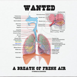Wanted A Breath Of Fresh Air Respiratory System Mouse Pad
