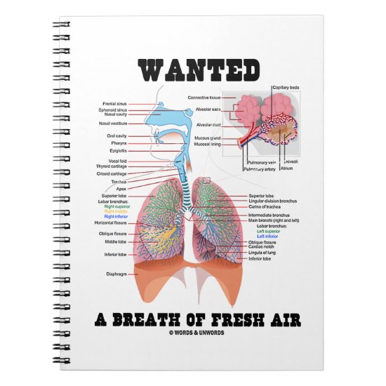 Wanted A Breath Of Fresh Air (Respiratory System) Notebook