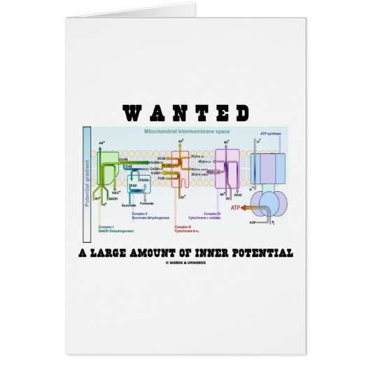 Wanted A Large Amount Of Inner Potential Cards (Front)