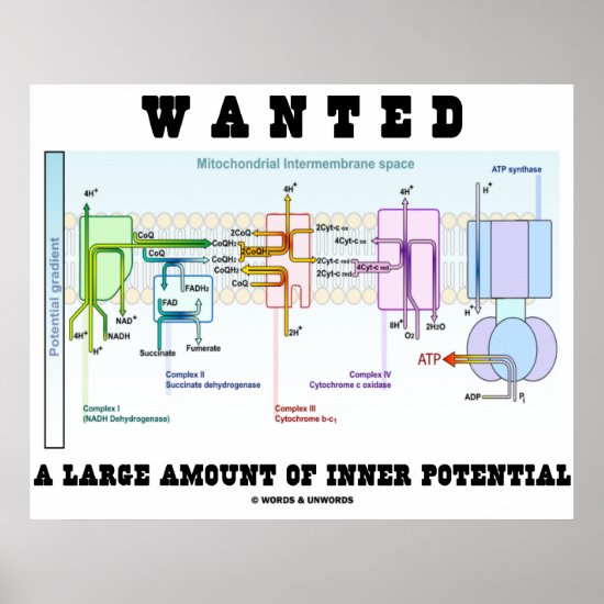 Wanted A Large Amount Of Inner Potential Poster