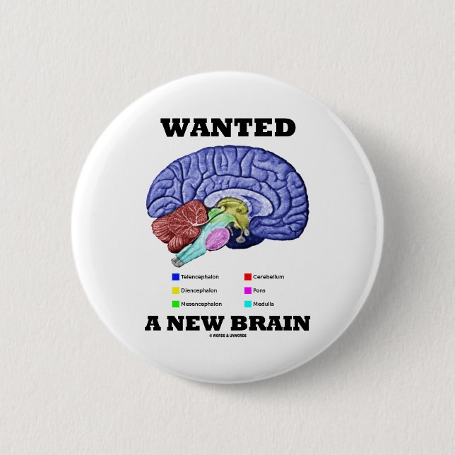 Wanted A New Brain (Anatomical Brain Attitude) Pinback Button (Front)