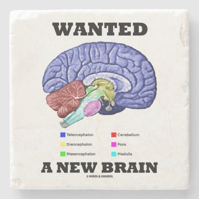 Wanted A New Brain Anatomical Brain Humor Stone Coaster (Front)