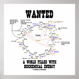 Wanted A World Filled With Biochemical Energy Poster