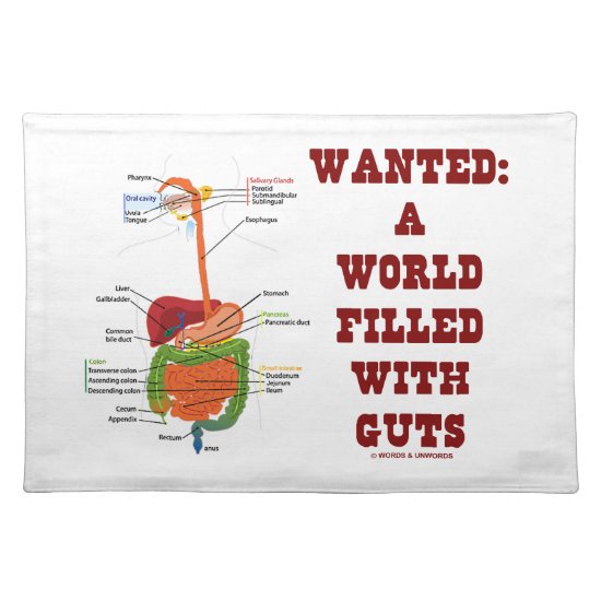 Wanted A World Filled With Guts (Digestive System) Cloth Placemat