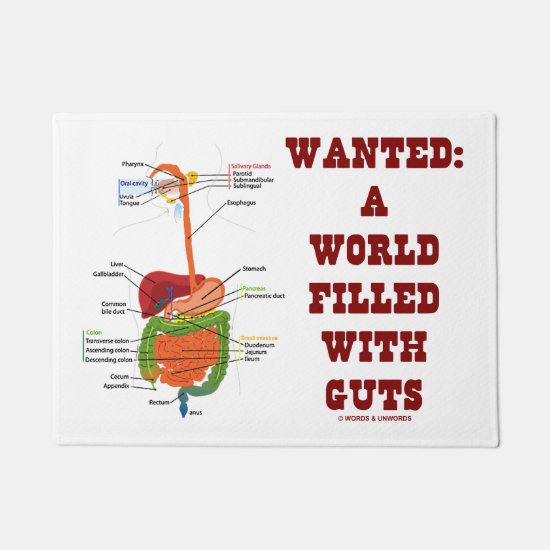 Wanted: A World Filled With Guts Digestive System Doormat