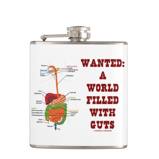 Wanted A World Filled With Guts (Digestive System) Hip Flask
