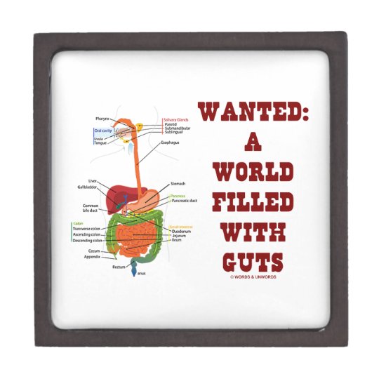 Wanted A World Filled With Guts (Digestive System) Keepsake Box