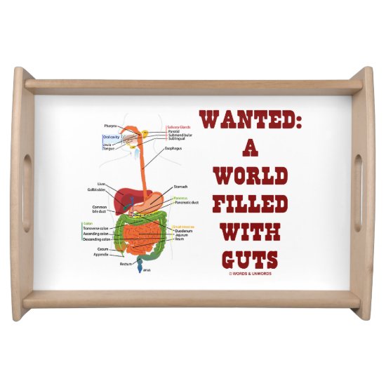 Wanted: A World Filled With Guts Digestive System Serving Tray