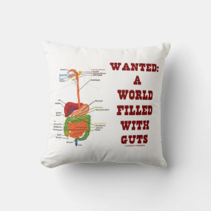 Wanted A World Filled With Guts Digestive System Throw Pillow